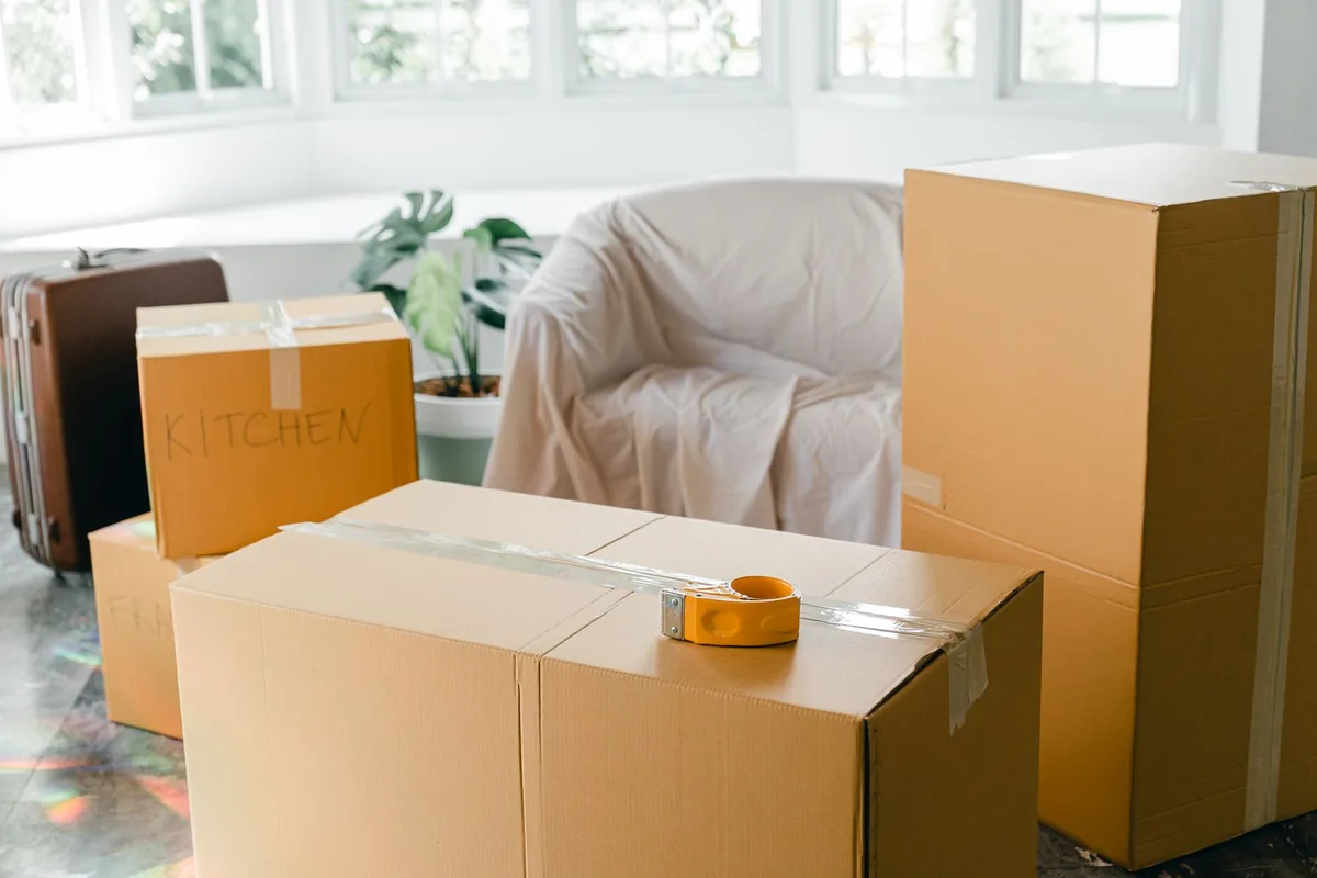 Hoarding Cleanup in Stony Point, MI